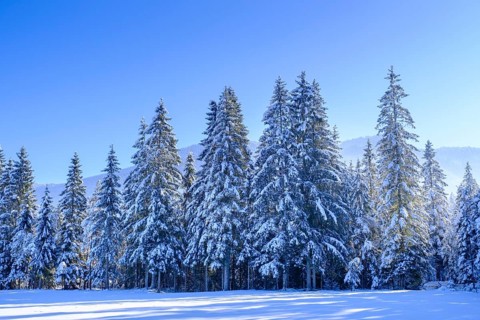 Jachenau near the Landerermühle, Jachenau, in winter, Tölzer Land, Upper Bavaria, Bavaria, Germany,