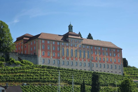 Droste-Hülshoff-Gymnasium with grapevines, Meersburg, Obersee, Lake Constance, Lake Constance area,