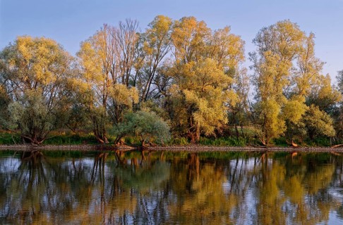 Evening light on the banks of the Czerwony Canal on the edge of the Warta Estuary National Park,