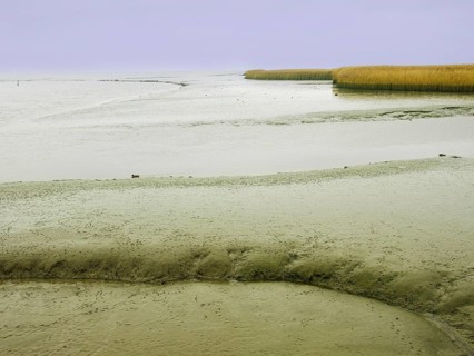 Low tide, mudflats, Dollart, Nieuwe Statenzijl, Netherlands