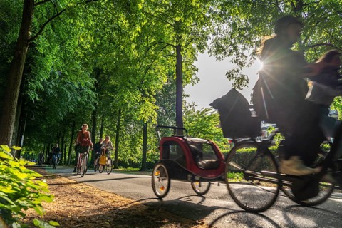Promenade cycle path, tree-lined, car-free, approximately 4.5 km long ring road around the city