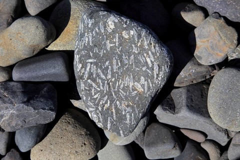Small striped speckles in rounded grey Plagioclase basalt rock, Playa de Garcey, Fuerteventura,