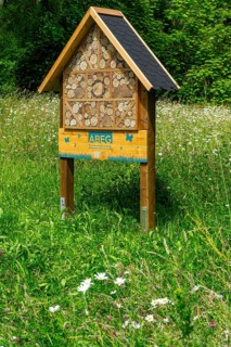 Insect hotel, wildflower meadow at the park cemetery in Essen, the city's largest cemetery, North