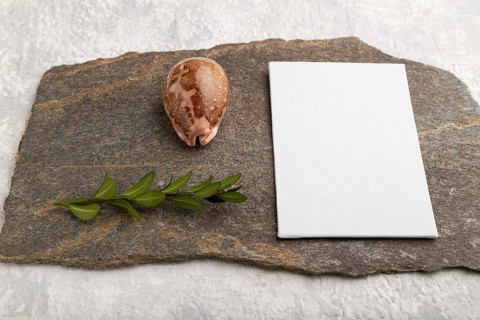 White paper business card, mockup with natural stone, seashell and boxwood branch on gray concrete