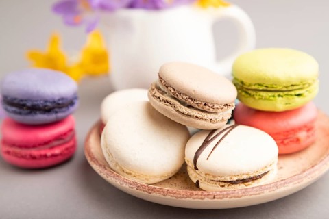 Multicolored macaroons with spring snowdrop crocus flowers on gray pastel background. side view,