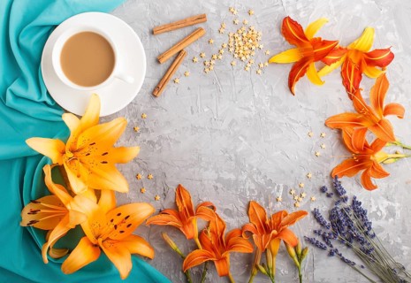 Orange day-lily and lavender flowers and a cup of coffee on a gray concrete background, with blue