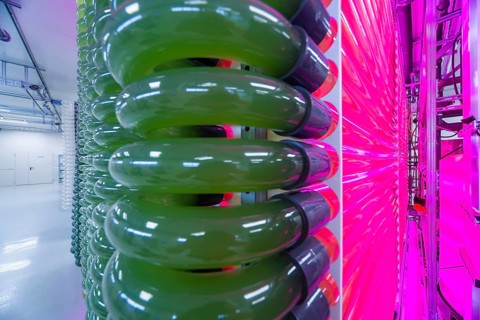 PUEVIT GmbH produces the most efficient photobioreactors for the cultivation of microalgae. The aim