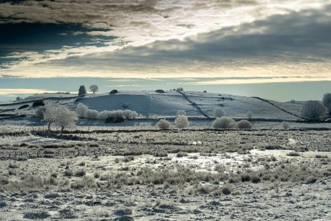 Aubrac plateau in winter. Lozere departement. Occitanie. France