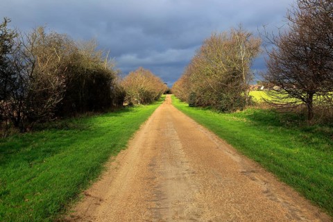 Long straight unsurfaced country road in winter sunshine, Sutton, Suffolk, England, UK