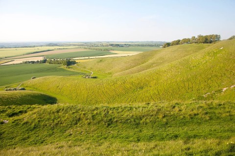 Summer view of arable fields and chalk landscape from Cherhill Down escarpment, Wiltshire, England,