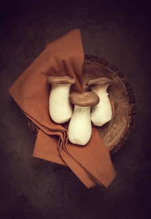 Fresh eringi mushrooms, raw, royal oyster mushrooms, three pieces, Asian cuisine, no people