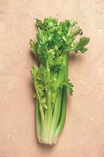 Fresh bunch of celery, top view, no people