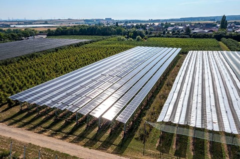Agri-photovoltaic test plant, an apple orchard with two different systems of PV modules was roofed