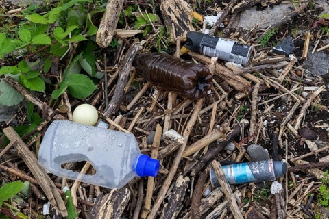 Symbolic image environmental pollution, plastic waste, rubbish, flotsam from a flood on the Neckar