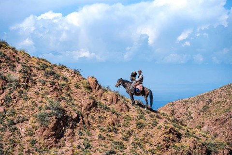 Traditional Kyrgyz eagle hunter with eagle in the mountains, hunting on horseback in front of dry