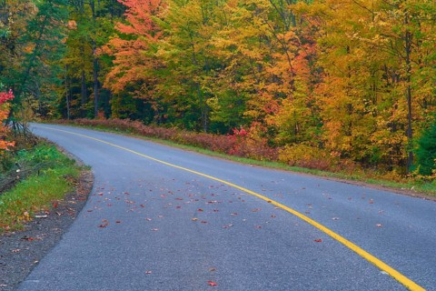 Road winds through an autumn forest with colourful foliage and a yellow centre line, Autumn,
