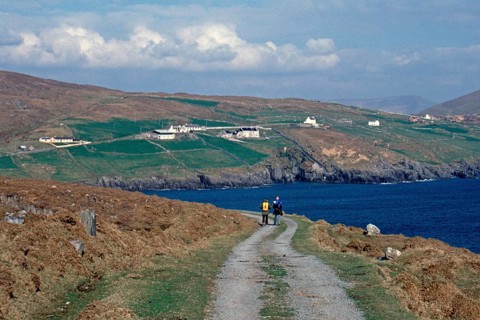 Country lane, in the background the mainland, walker, Dursey Island, Beara Peninsula, County Cork,