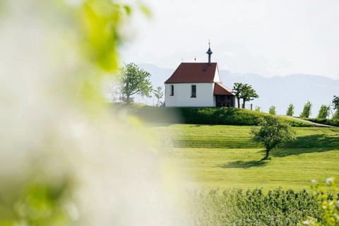 Apple orchard in bloom, Antonius Chapel, Selmnau, near moated castle, Lake Constance, Swabia,