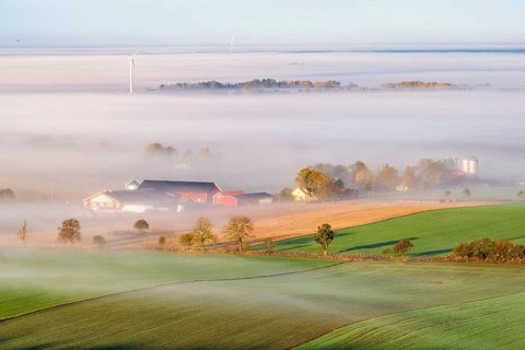 Farm in a rural landscape view with morning mist on the fields in late summer, Sweden, Europe
