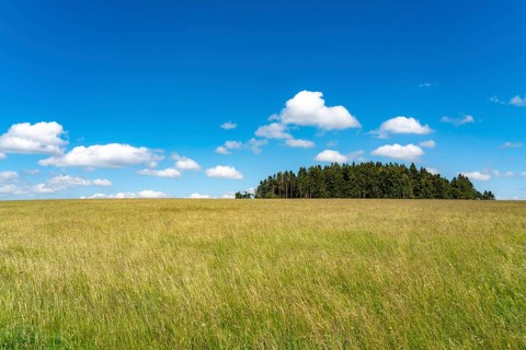 Forest, landscape, pasture with high grass, vastness, clouds, summer in Hochsauerlandkreis, North