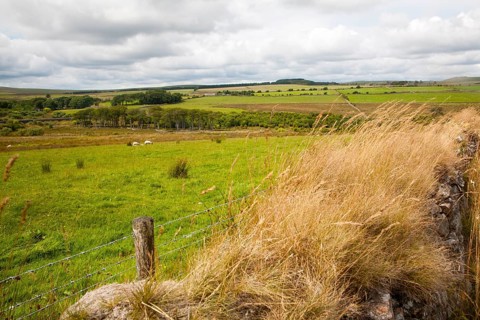 Moorland farming scenery near Princetown, Dartmoor national park, Devon, England, UK