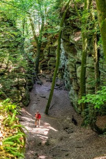 The Devil's Gorge, narrow, accessible gorge of sandstone rocks, with steep rocky gorges, near