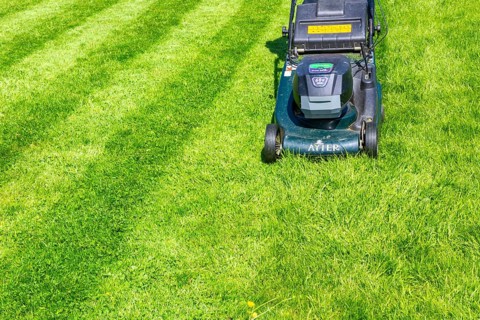 Hayter cordless electric lawnmower cutting lawn grass into stripes, UK