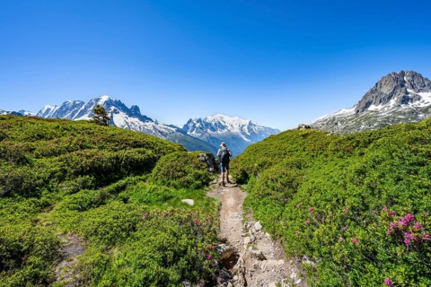 Mountaineer on hiking trail, mountain panorama with glaciated mountain peaks, Aiguille Verte with