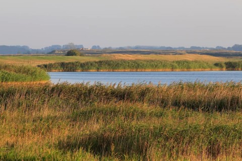 On the Baltic Sea near Peenemünde, September, Mecklenburg-Western Pomerania, Germany, Europe