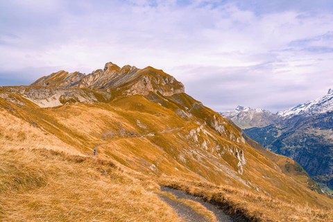 Elongated mountain range with autumn-coloured grass, Planplatten, Switzerland, Europe
