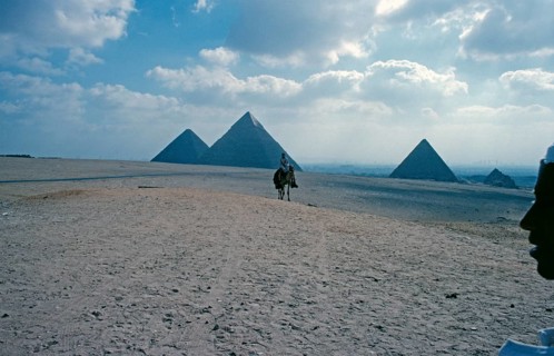Cheops, Chephren and Mykerinos pyramid, camel, rider, travel guide, Giza, Cairo, Egypt, September