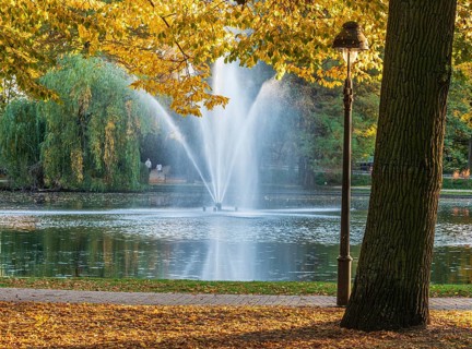 Autumn foliage, colourful trees, fountain in pond, park Französischer Garten (French Garden),