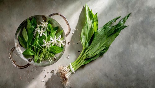 Green leaves in a bowl and white flowers next to bundled plants on a concrete table, wild garlic,