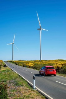 Green renewable alternative energy in Portugal, wind generator turbines among Cytisus flower shrubs