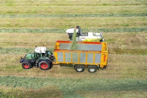 Hay harvest, on a Rhine meadow near Duisburg-Beeckerwerth, a forage harvester picks up the cut