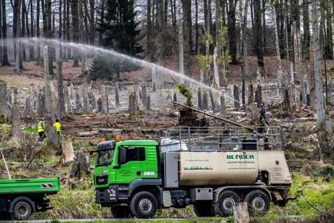 Spraying of a cleared forest area on which spruce trees infested by the bark beetle have died, thus