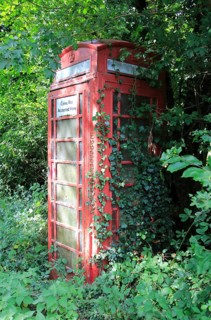 Overgrown rural red traditional phone box, Hoo, Suffolk, England, UK