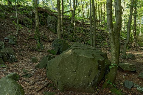 Block heap, block of basalt rock, volcanic basanite, beech forest, summit of Hoherodskopf mountain,