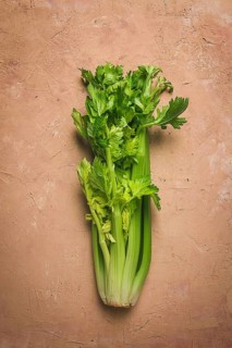 Fresh bunch of celery, top view, no people