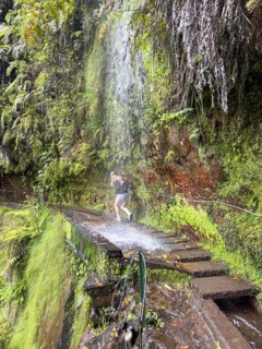 Hiking trail with waterfall on the Levada Nova and Levada do Moinho, Madeira, Portugal, Europe
