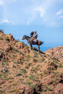 Traditional Kyrgyz eagle hunter with eagle in the mountains, hunting on horseback in front of dry