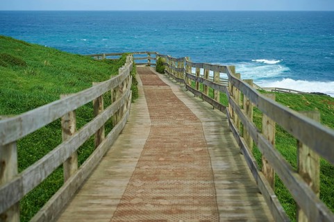 Nature landscape of a trail at The Nobbies on phillip island in spring, Australia, Oceania