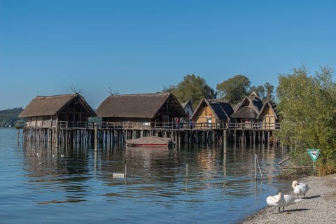 Unteruhldingen, Pfahlbaumuseum, Lake Constance, reconstruction, Stone Age, swans, lakeshore,