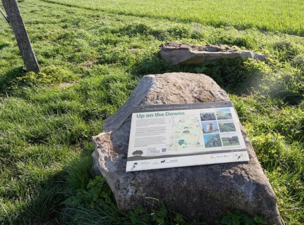 Information panel about Marlborough downs chalk landscape, Hackpen Hill, Wiltshire, England, UK