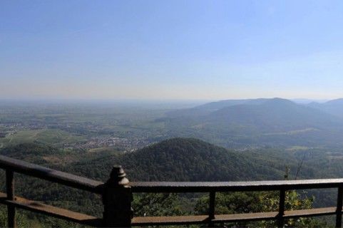 View of the Rhine plain from the summit plateau of the Orensberg (southern Wine Route)