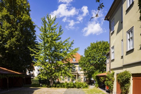 Lucas-Cranach-Straße 9, Gotha, Thuringia, Germany, Europe