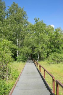 Stegweg, Schöneberger Südgelände Nature Park, Prellerweg, Schöneberg, Berlin, Germany, Europe