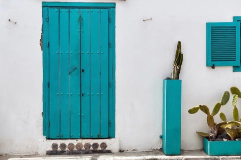 Turquoise green door, nopale (Opuntia) in tubs in front of a white façade, Las Negras,