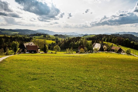 Flowering meadow and mountains, near St Märgen, Black Forest, Baden-Württemberg, Germany, Europe