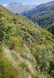 Landscape of the River Rio Poqueira gorge valley, High Alpujarras, Sierra Nevada, Granada Province,